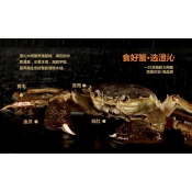 阳澄蟹礼卡1088